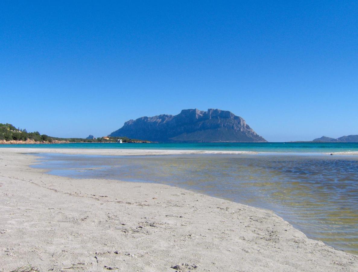 Il Mare Di Olbia Holiday Apartment 외부 사진